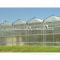 Venlo Design Plastic Sheet Polycarbonate Greenhouse Structure